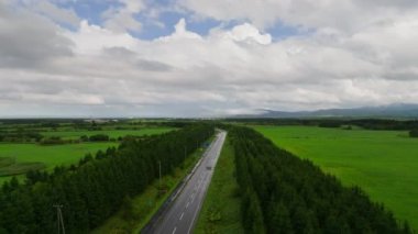 Yaz mevsiminde yemyeşil Hokkaido manzarası boyunca ıslak yolda ilerleyin. Yüksek kalite 4k görüntü