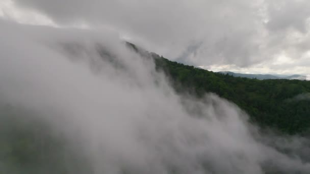 Dichte Nebelschwaden Rollen Einem Sommertag Den Bewaldeten Berg Hokkaido Hinunter — Stockvideo