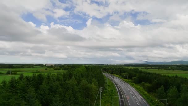 在潮湿的道路上 低空飞行在树梢上 天空中乌云密布 高质量的4K镜头 — 图库视频影像