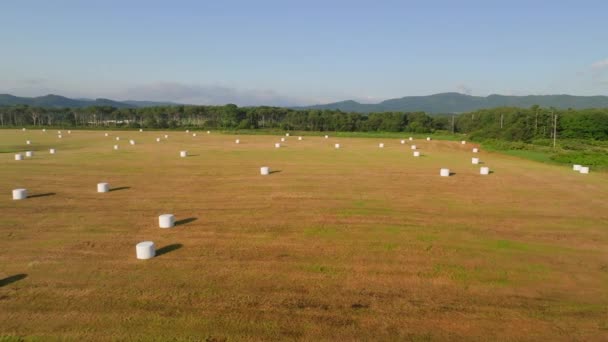 Flying Low Fast Hay Bales Wrapped Sale Hokkaido Farm High — Stock Video