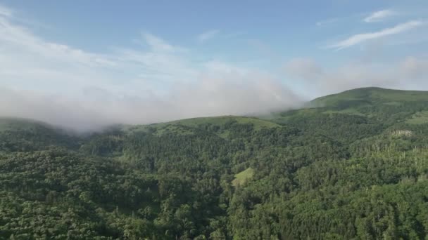 Vista Aérea Niebla Baja Sobre Verdes Colinas Boscosas Isla Rebun — Vídeos de Stock