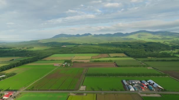 Monitoraggio Campi Verdi Strade Campagna Piccole Fattorie Estate Hokkaido Filmati — Video Stock