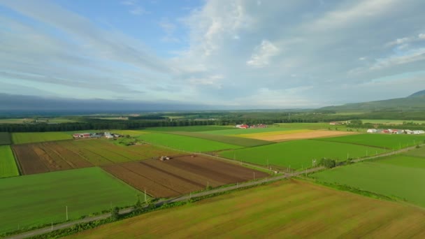 Vliegen Groene Gele Geploegde Velden Hokkaido Laat Zomer Landschap Hoge — Stockvideo