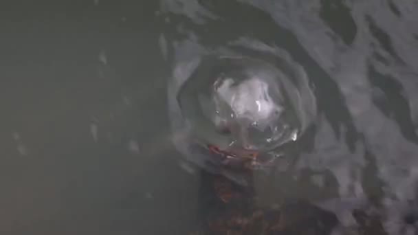 Водні Заряди Бульбашки Підводних Труб Відкритій Громадській Ванні Високоякісні Кадри — стокове відео