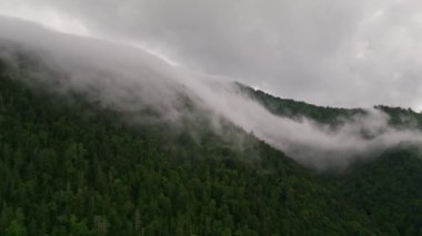 Japonya 'nın Hokkaido kentindeki uzak ormanlık dağın üzerine sis ve sis yayıldı. Yüksek kalite 4k görüntü