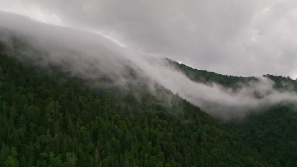 Fog Mist Spill Remote Forested Mountain Hokkaido Japan High Quality — Stock Video