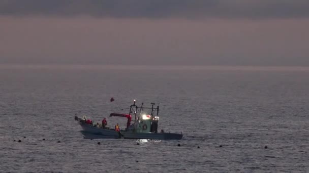 Küçük Teknedeki Yerel Balıkçılar Şafaktan Önce Hokkaido Açıklarındaki Okhotsk Denizi — Stok video