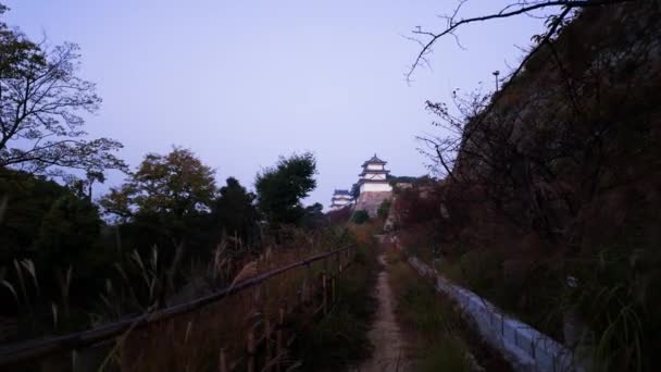 秋の明け方に赤橋城まで背の高い草の土道を歩いています 高品質の4K映像 — ストック動画