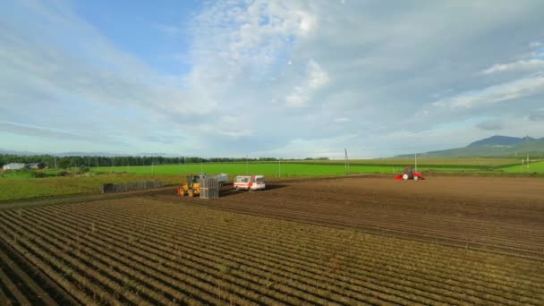 在北海道夏天阳光明媚的日子里 用红色拖拉机快速低空飞越耕地 高质量的4K镜头 — 图库视频影像