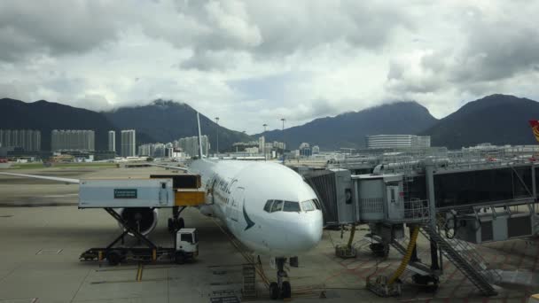 Hongkong Srpna 2023 Časová Prodleva Pozemních Posádek Pracujících Cathay Pacific — Stock video