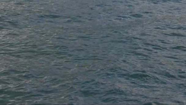 Ruhiges Wasser Mit Sanftem Wellengang Bewegt Sich Zeitlupe Offenen Ozean — Stockvideo