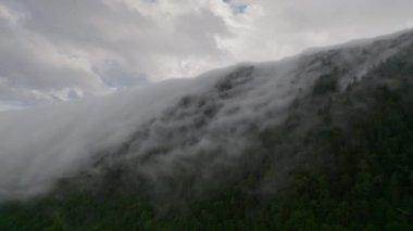 Hokkaido 'daki dağlardan dökülen sis tabakasının hava görüntüsü. Yüksek kalite 4k görüntü