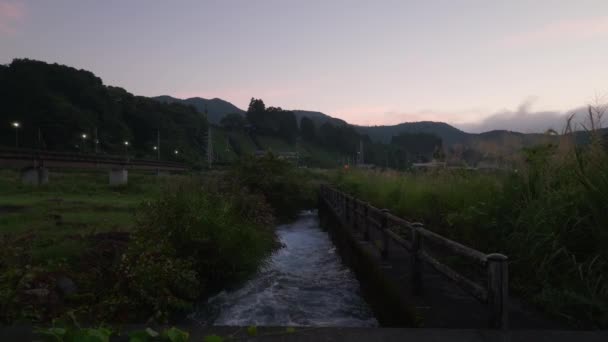 Água Flui Canal Pela Grama Rio Luz Escura Amanhecer Imagens — Vídeo de Stock