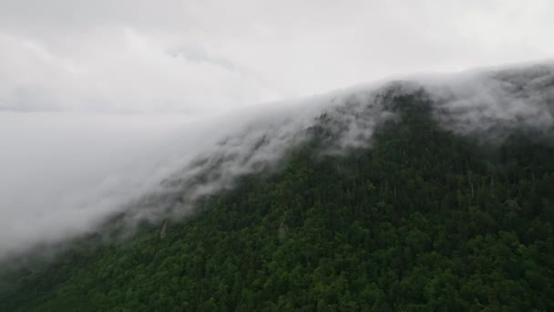 Létání Nad Zeleným Lesem Jako Mlha Pokrývka Valí Dolů Hory — Stock video