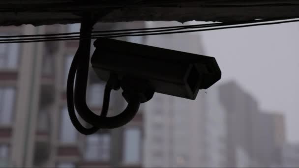 Piogge Abbondanti Cadono Rallentatore Dietro Telecamera Sicurezza Sagomata Filmati Alta — Video Stock