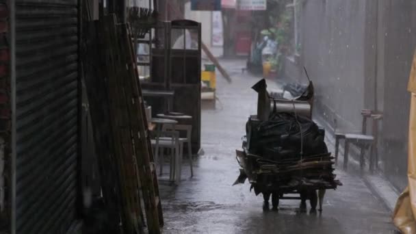 Harter Regen Fällt Zeitlupe Auf Kartons Die Auf Karren Einer — Stockvideo
