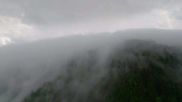 Luftaufnahme Über Dichtem Nebel Der Den Bewaldeten Hügel Hokkaido Hinunterrollt — Stockvideo