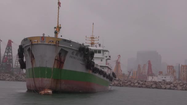 Hong Kong Agosto 2023 Navegación Pequeño Buque Carga Atracado Puerto — Vídeo de stock