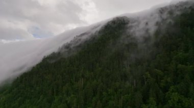 Sis Hokkaido 'daki ormanlık dağdan aşağı yuvarlanırken hava rotasyonu. Yüksek kalite 4k görüntü