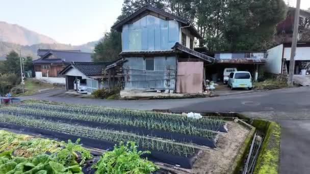 Pequeño Jardín Con Cultivos Verdes Por Casas Tradicionales Japonesas Centro — Vídeo de stock
