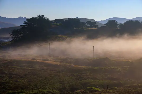 Stock image Low fog flows over telephone poles in dry California landscape. High quality photo