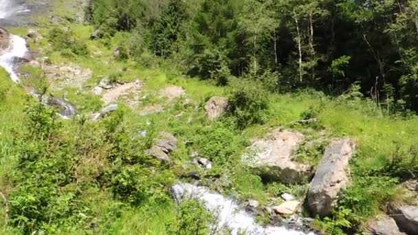 Jungfernsprung Waterfall Alpine Zone Austria — Stock Video