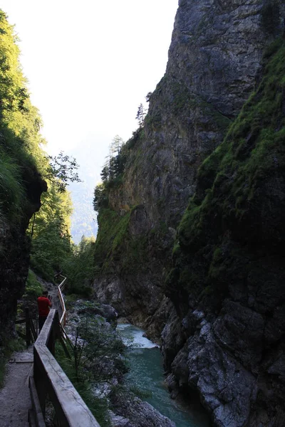 오스트리아에 협곡을 걸으라 — 스톡 사진