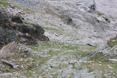 Avusturya Alpleri turu.