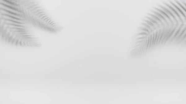Пальмова Тінь Сірому Фоні Використовується Мінімальної Презентації Концепції Літнього Тропічного Стокове Фото