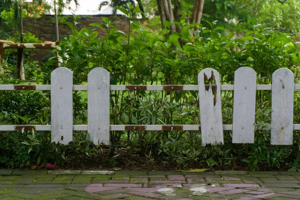 stock image Old broken wooden fence with green plants background. Hole and gap in wooden wall