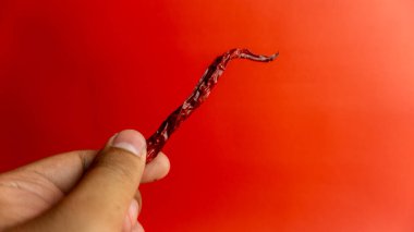 Kırmızı arka planda kurutulmuş kırmızı biber.