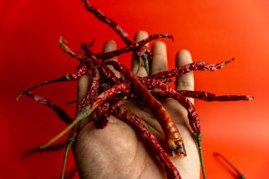 Kırmızı arka planda kurutulmuş kırmızı biber.