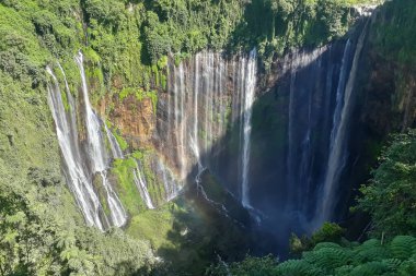 Tumpak Sewu şelalesi Lumajang, Doğu Java Endonezya 'da yer almaktadır. Güzel şelale manzarası