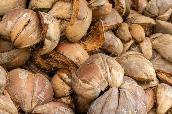 Bir demet çiğ hindistan cevizi. Kuru hindistan cevizi kabuğu ve lifini kapat
