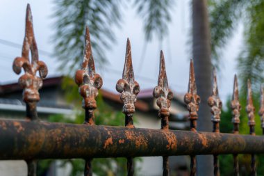 Dekoratif işlemeli demir çit. Eski moda çitler.