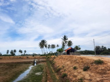 Hindistan cevizi ağaçları ve küçük kulübesi olan balık çiftliğinin manzarası. Büyük bir süt balığı göleti ve tilapia. Aceh, Endonezya 'da 