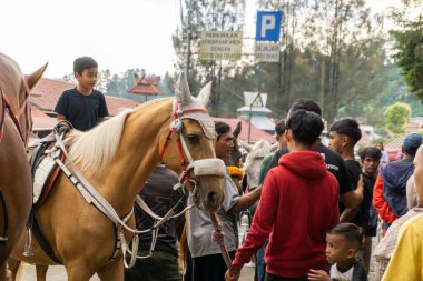 Berastagi, Endonezya - 29 Ekim 2023: Modaya uygun güneş gözlüğü takan at arabası. Şehir turu için fayton. Asya at arabası