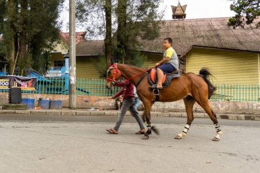 Berastagi, Endonezya - 29 Ekim 2023: Modaya uygun güneş gözlüğü takan at arabası. Şehir turu için fayton. Asya at arabası