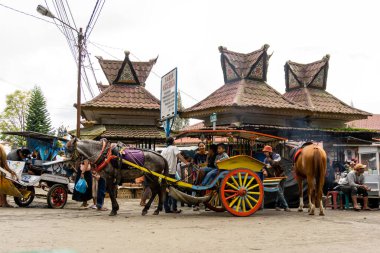 Berastagi, Endonezya - 29 Ekim 2023: Modaya uygun güneş gözlüğü takan at arabası. Şehir turu için fayton. Asya at arabası