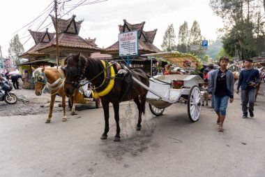 Berastagi, Endonezya - 29 Ekim 2023: Modaya uygun güneş gözlüğü takan at arabası. Şehir turu için fayton. Asya at arabası