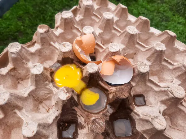 Broken eggs yoke and eggshells. Broken eggs on paper egg panel