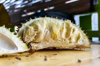 Tahta masadaki durian meyvesini yakın.. 