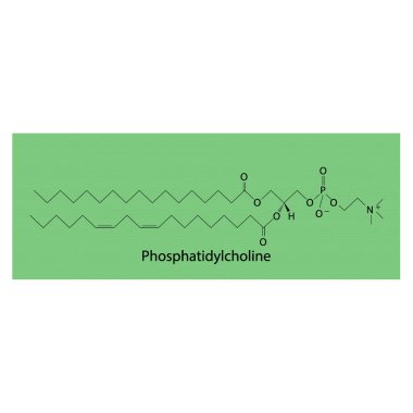 Foshatilkolin biyomolekülünün yapısı, yeşil arka planda iskelet yapı şeması. Bilimsel diyagram vektör çizimi.