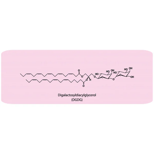 Digalactosyldiacylglycerol Dgdg Ilustración Vectores Strcuture Molecular Diagrama Científico Del Componente — Archivo Imágenes Vectoriales