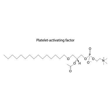 PAF 'in yapısı (trombosit etkinleştirme faktörü) beyaz arkaplanda kolin, asetil ester ve eter bağlantılı alkane (biyomolekül, iskelet yapı diyagramı) gösteriyor. Bilimsel diyagram vektör çizimi.