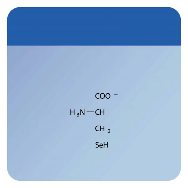 セレノシステイン骨格フォーラム 青い背景のアミノ酸誘導構造図 — ストックベクタ