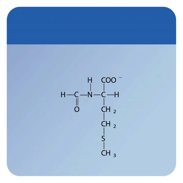 Formylmethionine骨骼肌 蓝色背景上氨基酸衍生物结构图 — 图库矢量图片