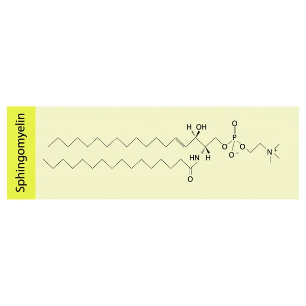 Structure Sphingomyelin Biomolecule Skeletal Structure Diagram Pink Background Scientific Diagram — Stock Vector