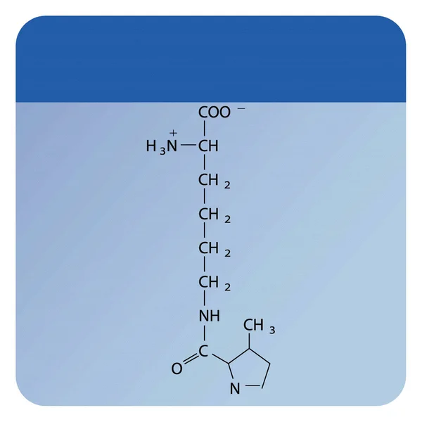 Pyrrolysin Skeletal Forumal Diagram Struktury Aminokyselin Modrém Pozadí — Stockový vektor