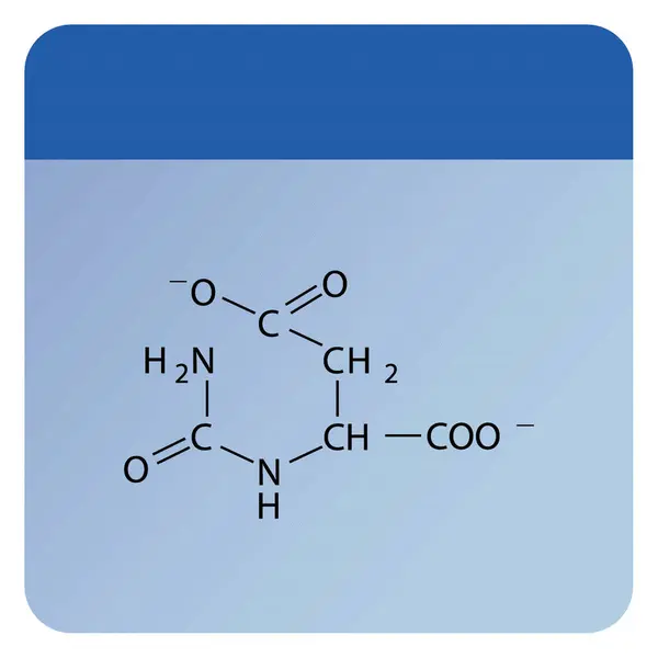 Carbamoylasaspartate スケルトン フォーラムについて 青い背景のアミノ酸誘導構造図 — ストックベクタ